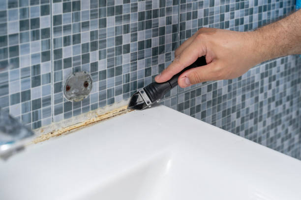 Best DIY Mold Remediation Support Services in Buckhannon, WV
