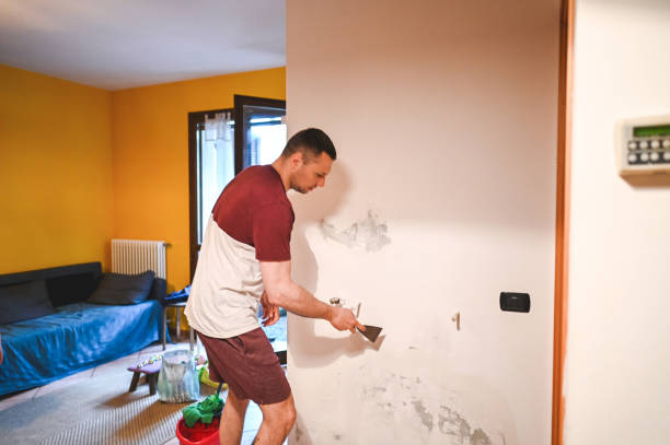 Best Basement Mold Remediation in Buckhannon, WV